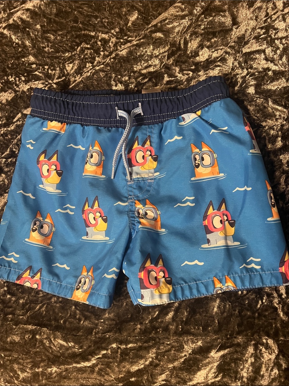 Toddler Bluey Swim Trunks 4T